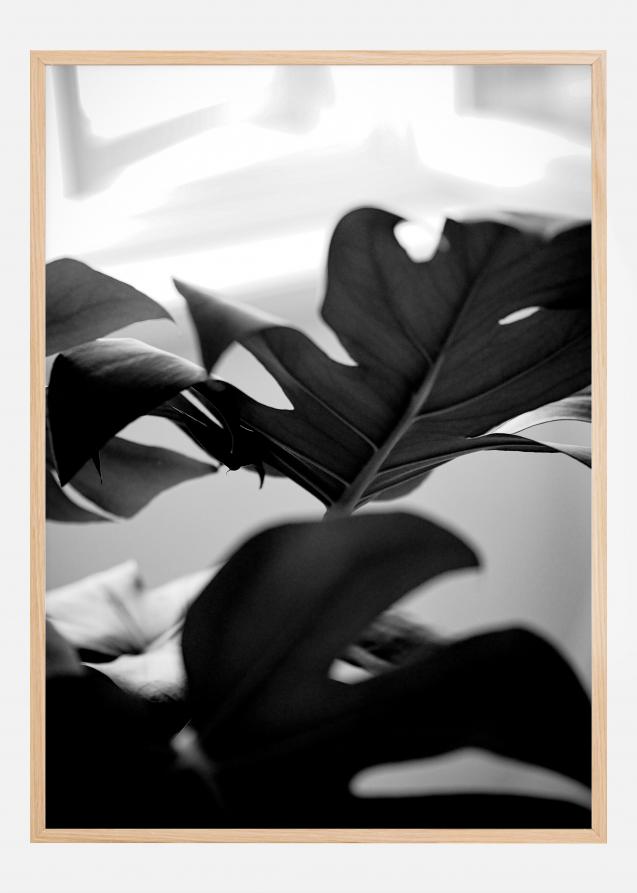 Monstera in Black and White l Plakat