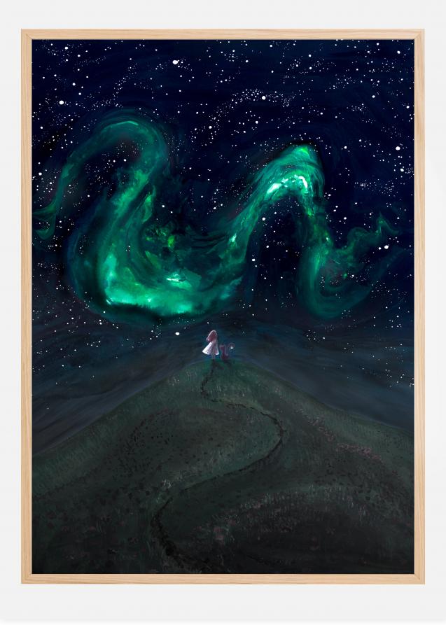 Northern Lights Plakat