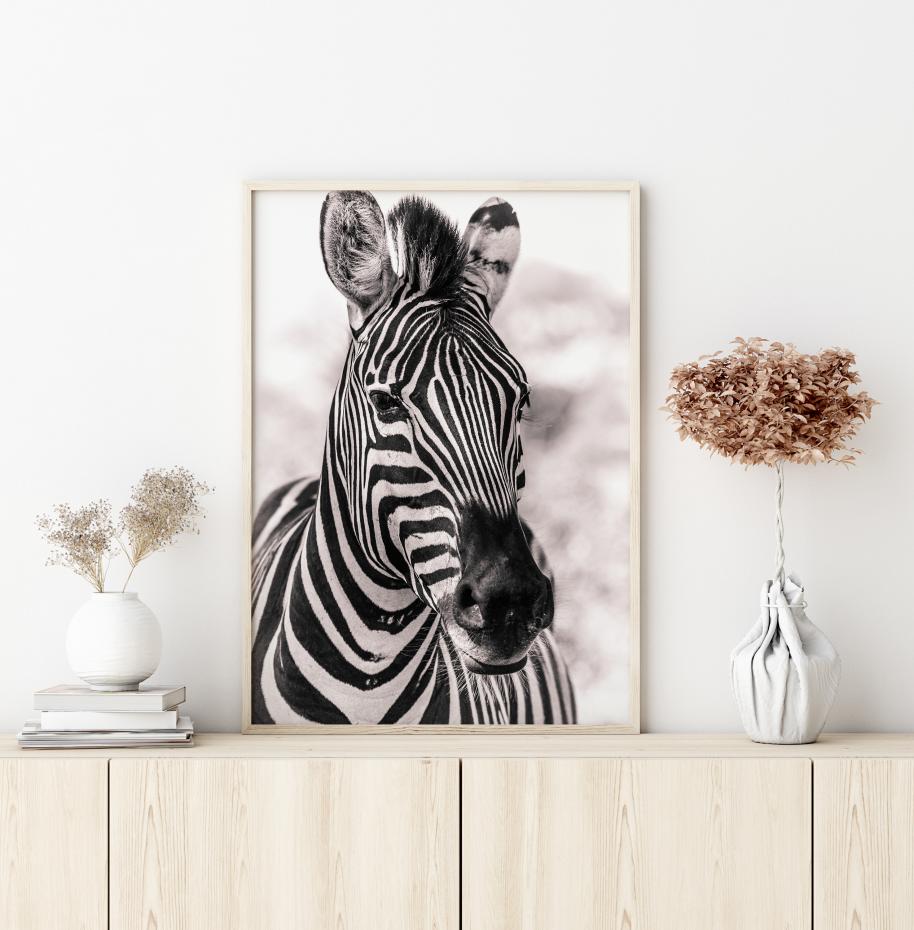 Zebra Plakat