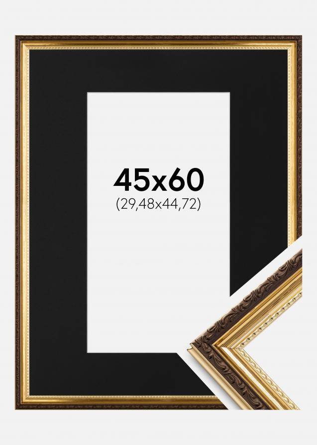 Ramme Abisko Guld 45x60 cm - Passepartout Sort 12x18 inches (30,48x45,72 cm)
