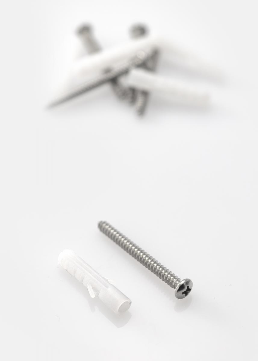 BGA Skrue og plug til betonvg - 5-pack (40x8 mm)