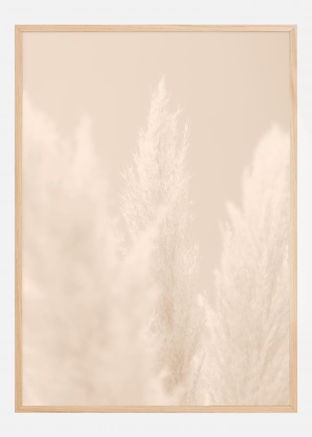 Pampas Grass II Plakat