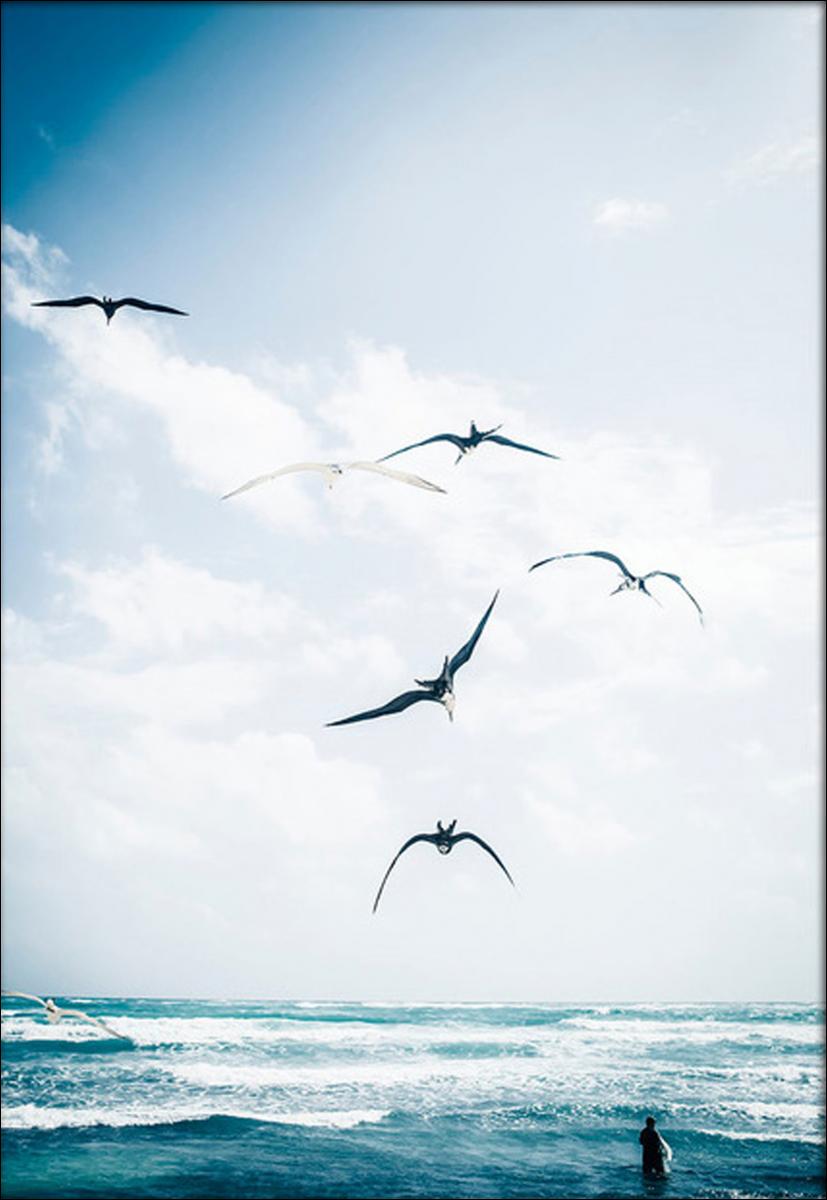 Køb Fishermans Paradise 42x59,4 cm (A2) her BGA.DK