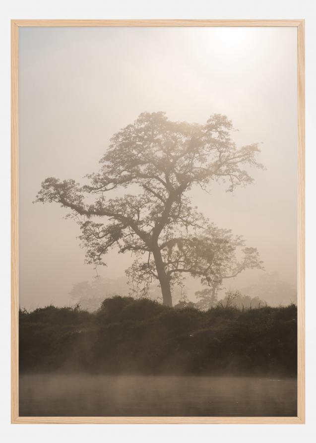Misty Tree Plakat
