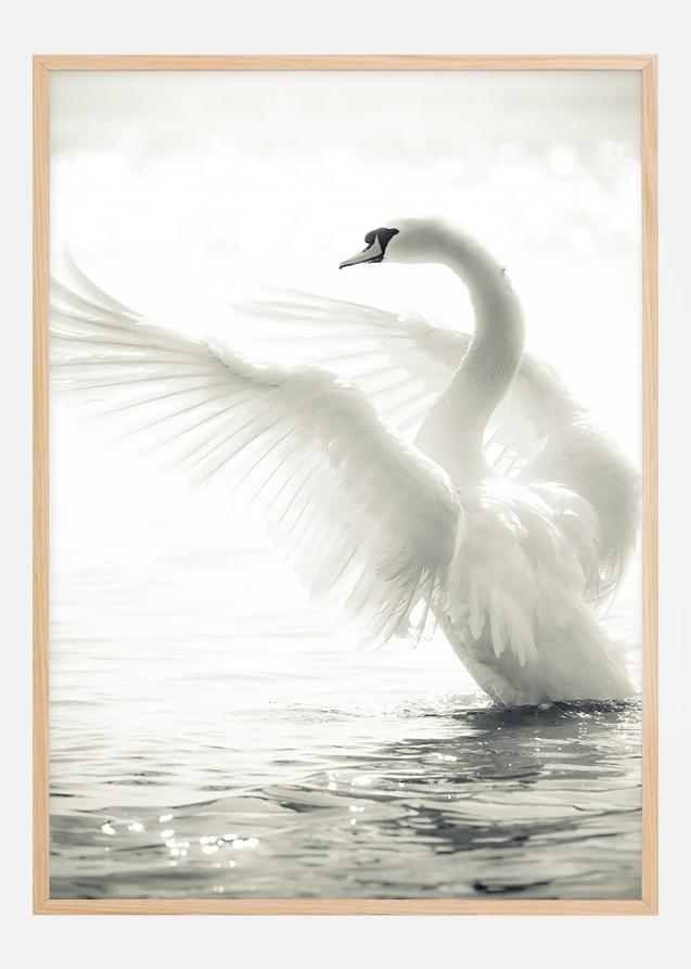 Swan Plakat