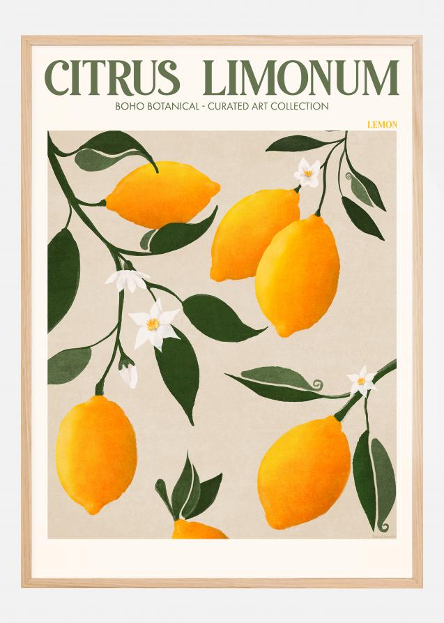 Boho Citrus Limonum Plakat