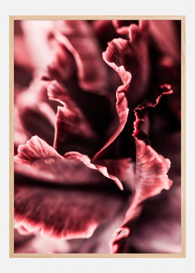 Rose petals Plakat