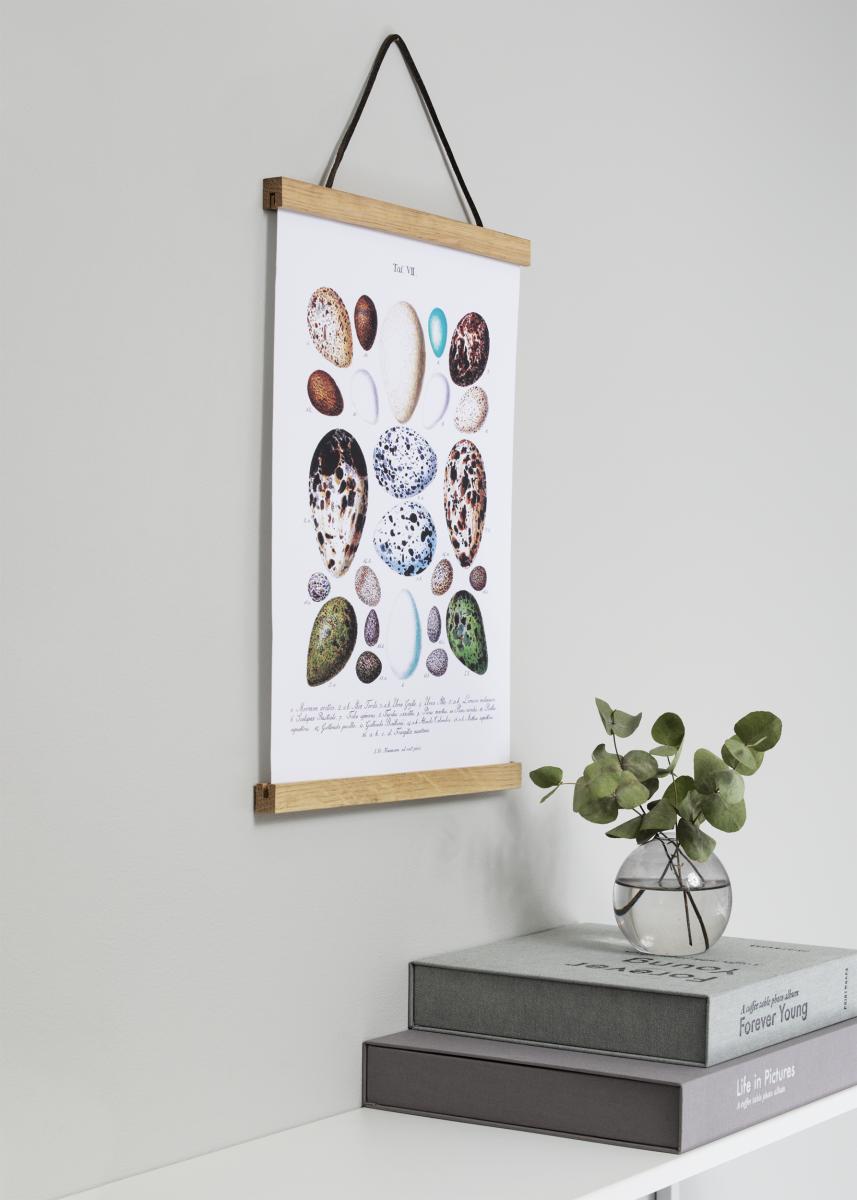 Plakatlister Eg - 30 cm
