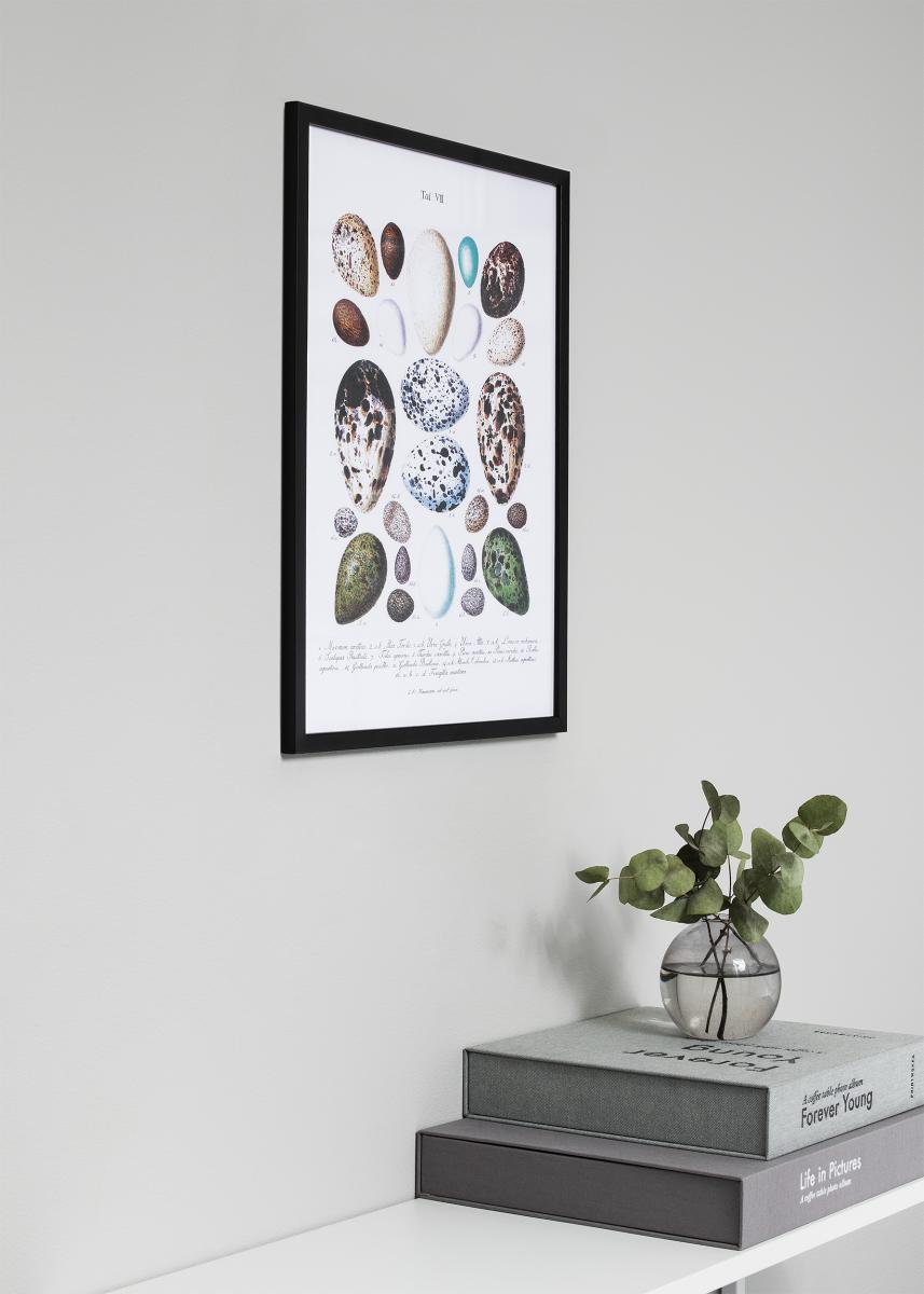 Edsbyn Sort 50x70 cm