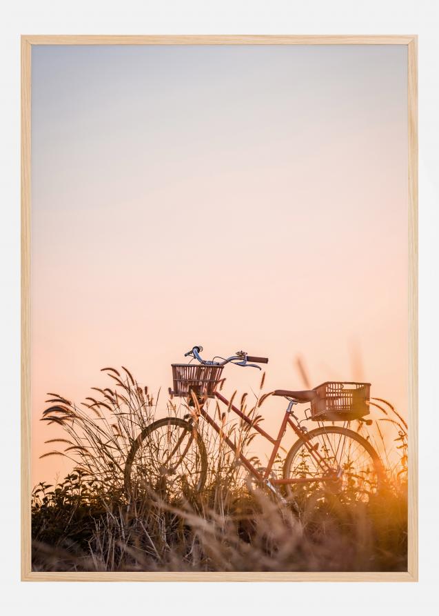 Bike Ride In The Sunset Plakat