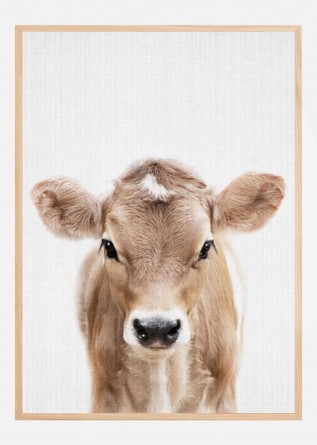 Peekaboo Baby Cow Plakat