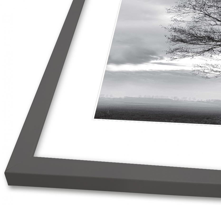 Ramme NordicLine Modern Grey 50x70 cm