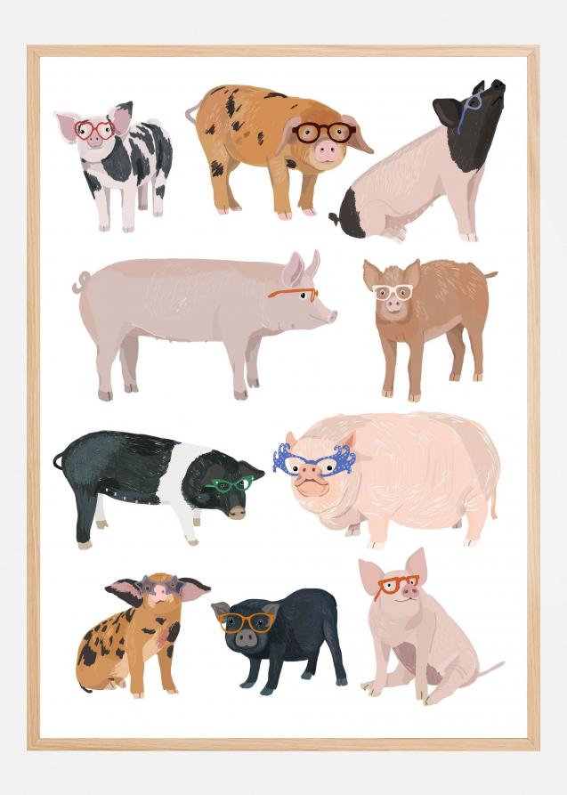 Pigs Glasses Plakat