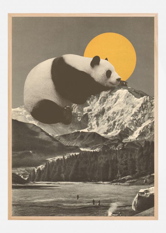 Giant Panda Nap Plakat