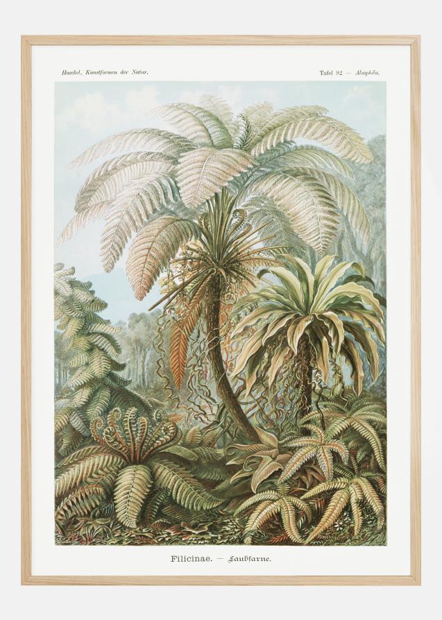 Botanicum Plakat