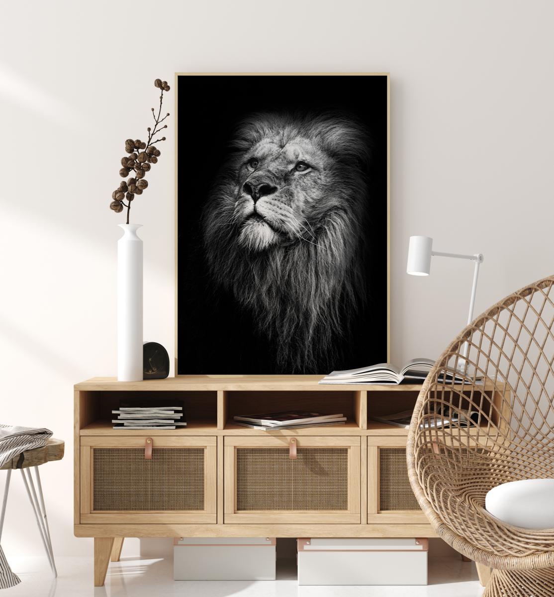 King Of Lions Plakat