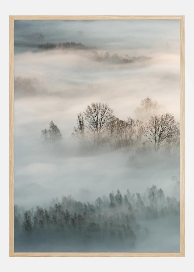 Winter Fog Plakat