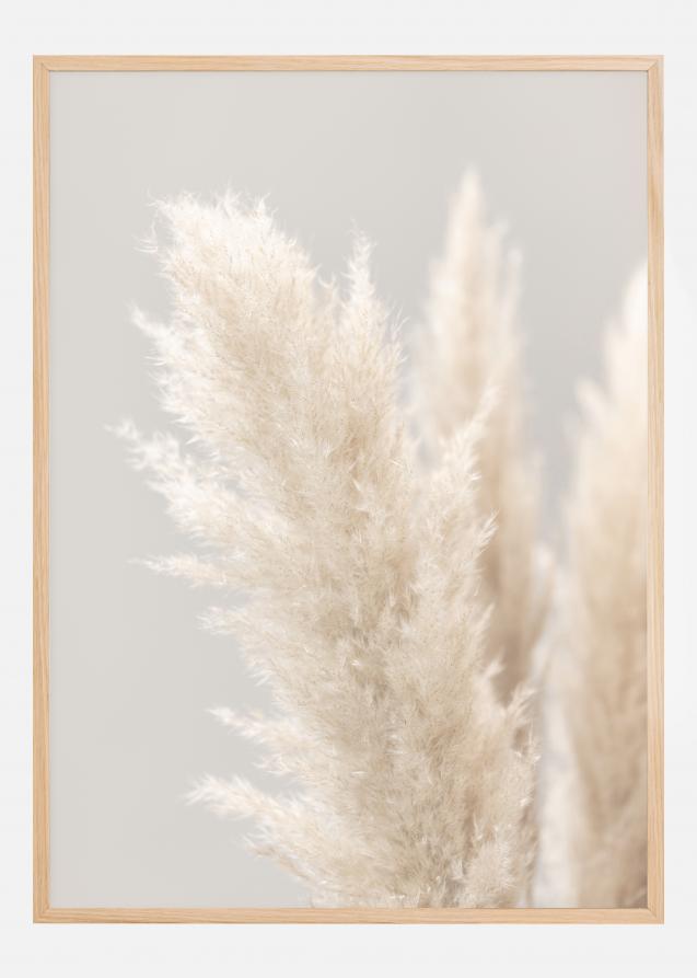 Pampas Grass IIII Plakat