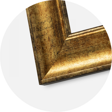 Ramme Saltsjbaden Guld 70x100 cm