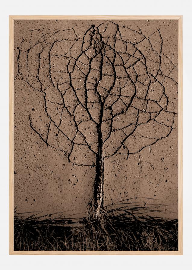 Asphalt Tree Plakat