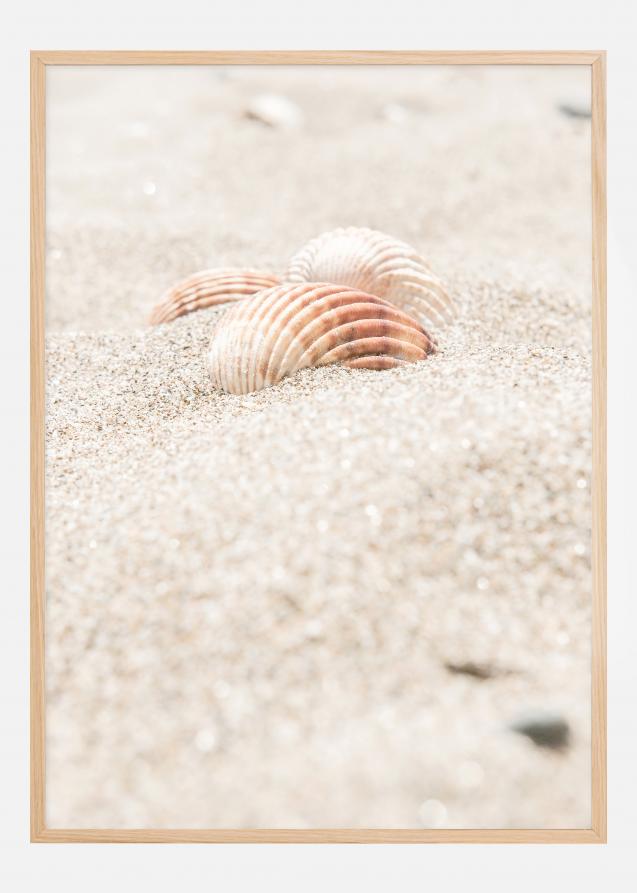 Seashell beach Plakat
