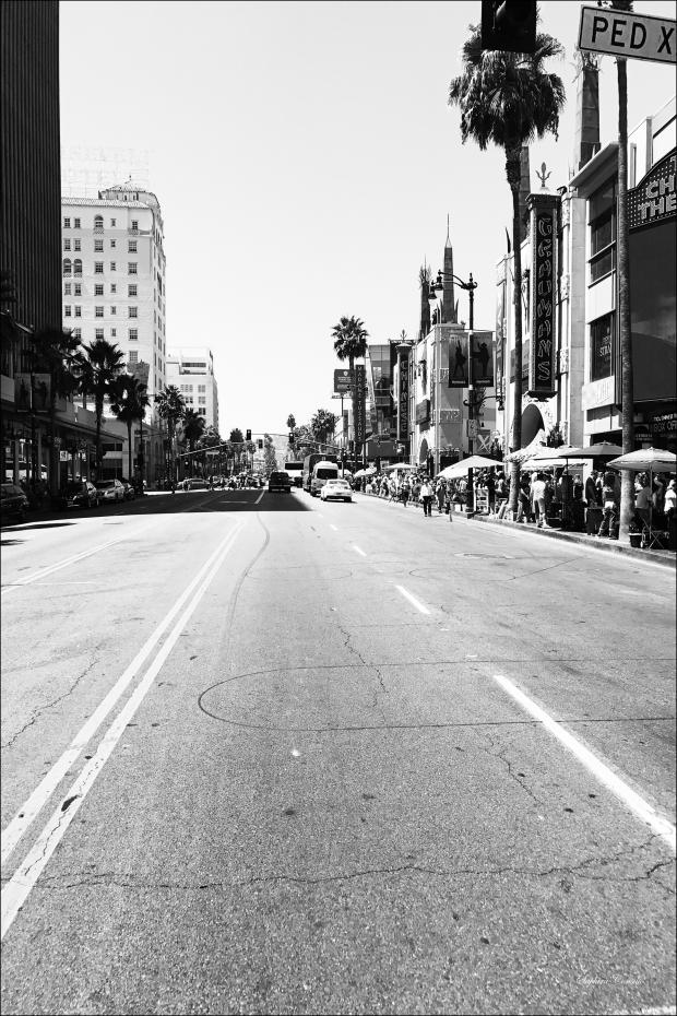 Hollywood Blvd Street