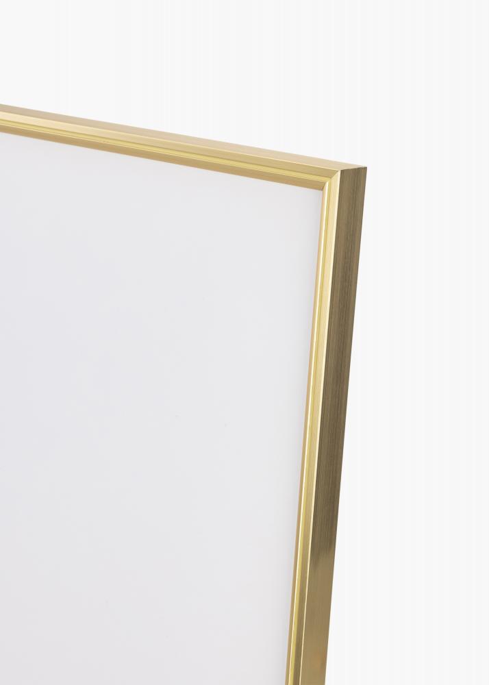 Ramme Hipster Akrylglas Guld 59,4x84 cm (A1)