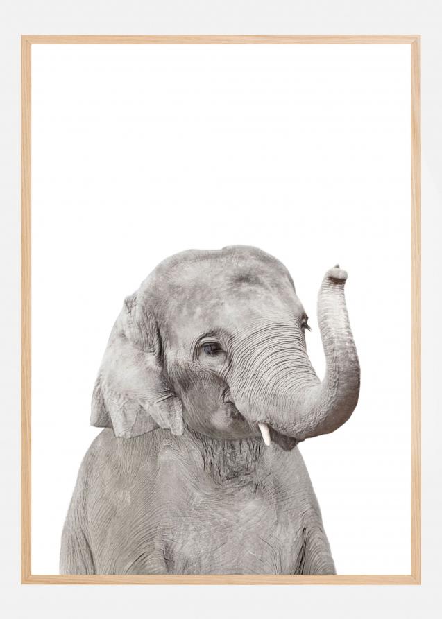 Baby Elephant Plakat