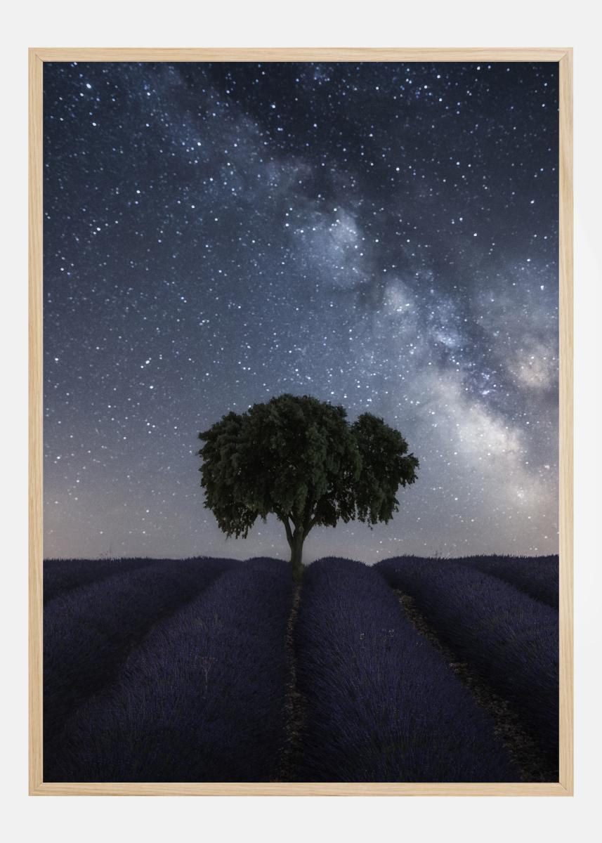 Tree And Milky Way Plakat