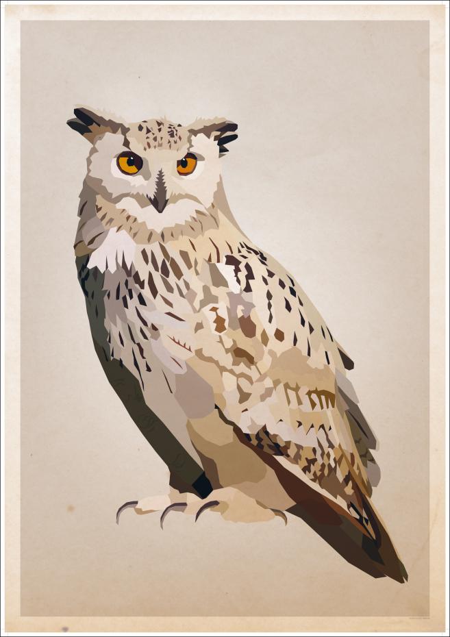 Eagle Owl Plakat