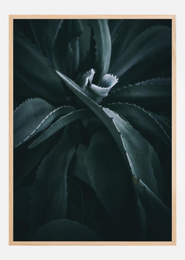 Thorny Flower Plakat