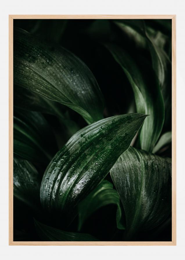 Plant Plakat