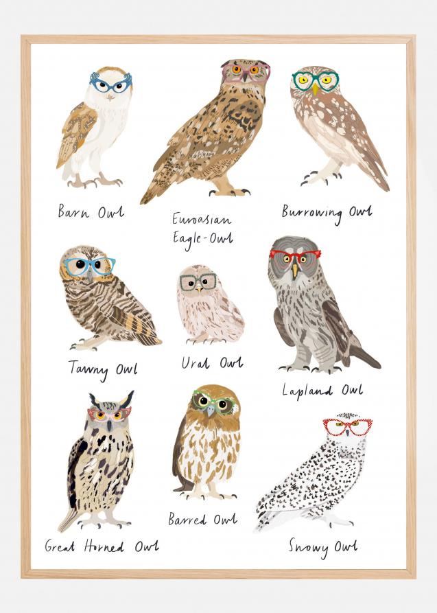 Owls In Glasses Print Plakat