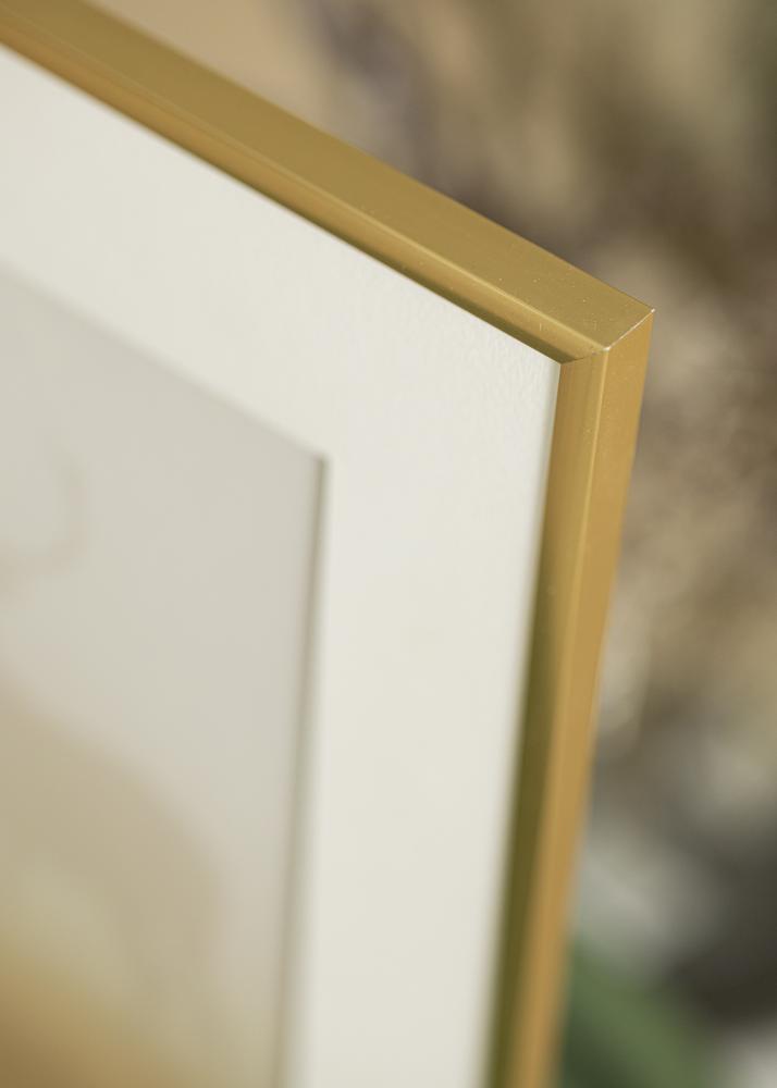 Ramme New Lifestyle Akrylglas Shiny Gold 42x59,4 cm (A2)