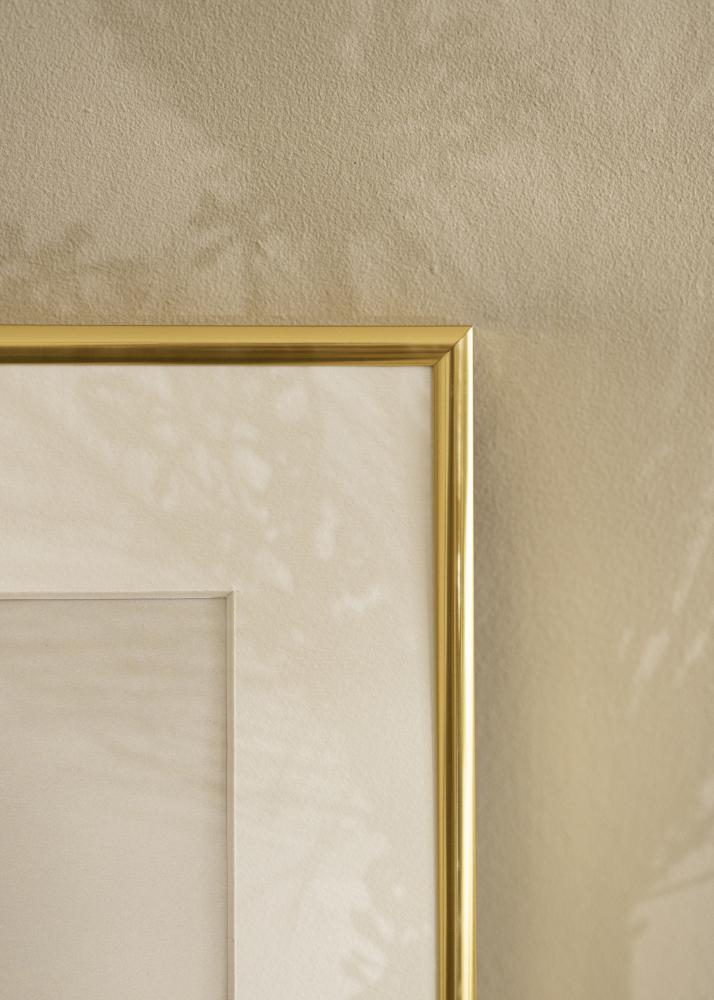Ramme Visby Akrylglas Blank Guld 40x50 cm