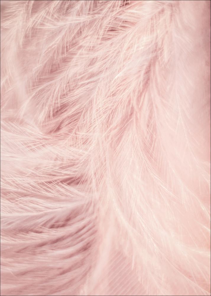 Pink Feathers Plakat