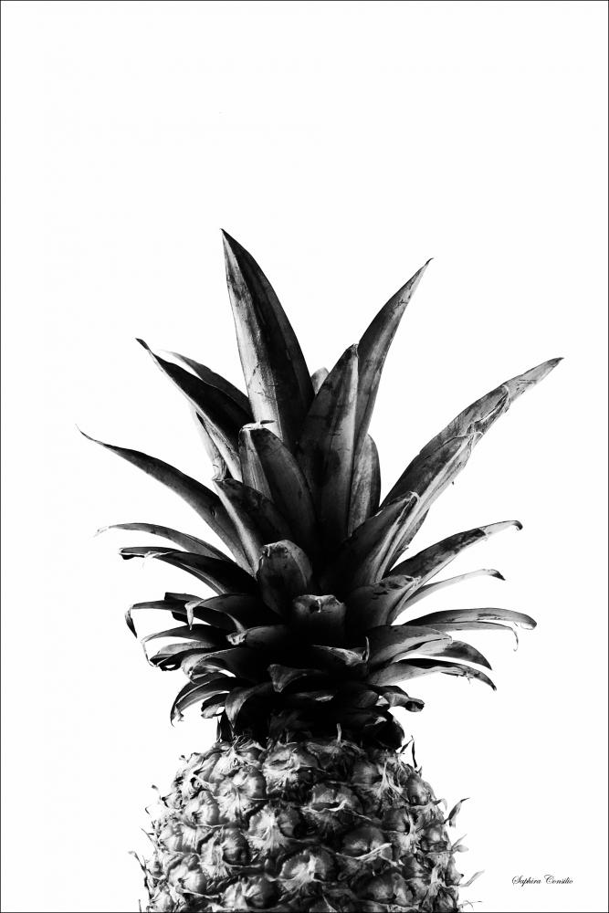 Pineapple B&W Plakat
