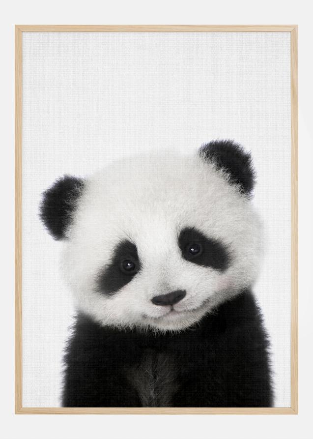Peekaboo Baby Panda Plakat