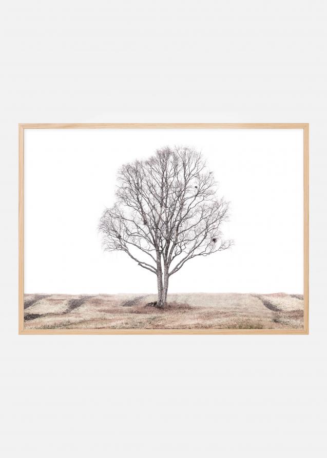 The lonely tree Plakat