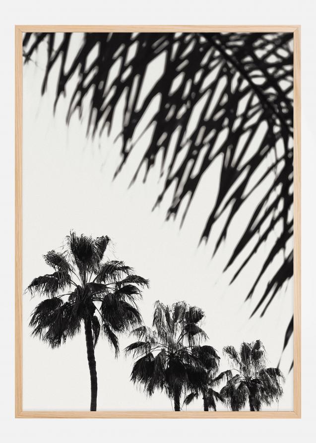 Palm 006 Plakat