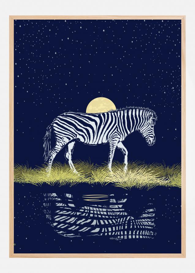 Zebra at Waterhole Moonrise Plakat
