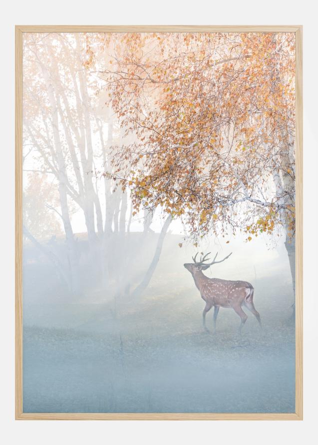 Elk Lost In Mist Plakat
