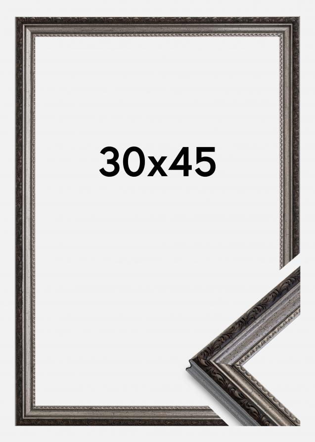 Ramme Abisko Akrylglas Sølv 30x45 cm