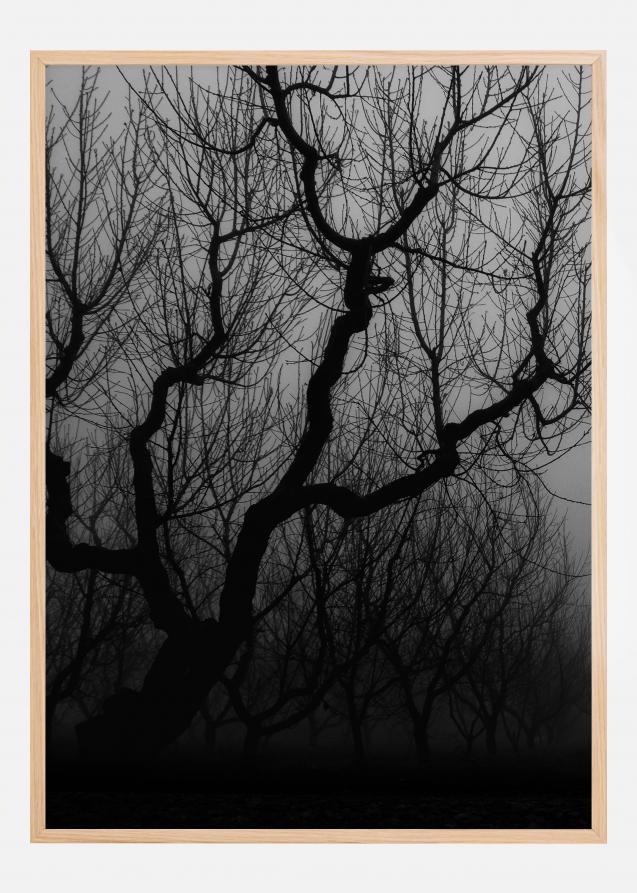 Dark trees Plakat