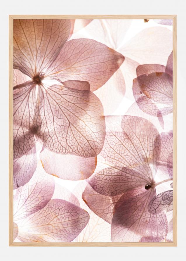 Orchid Plakat