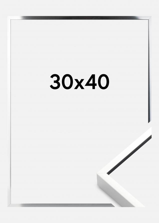 Ramme Nielsen Premium Alpha Blank Sølv 30x40 cm