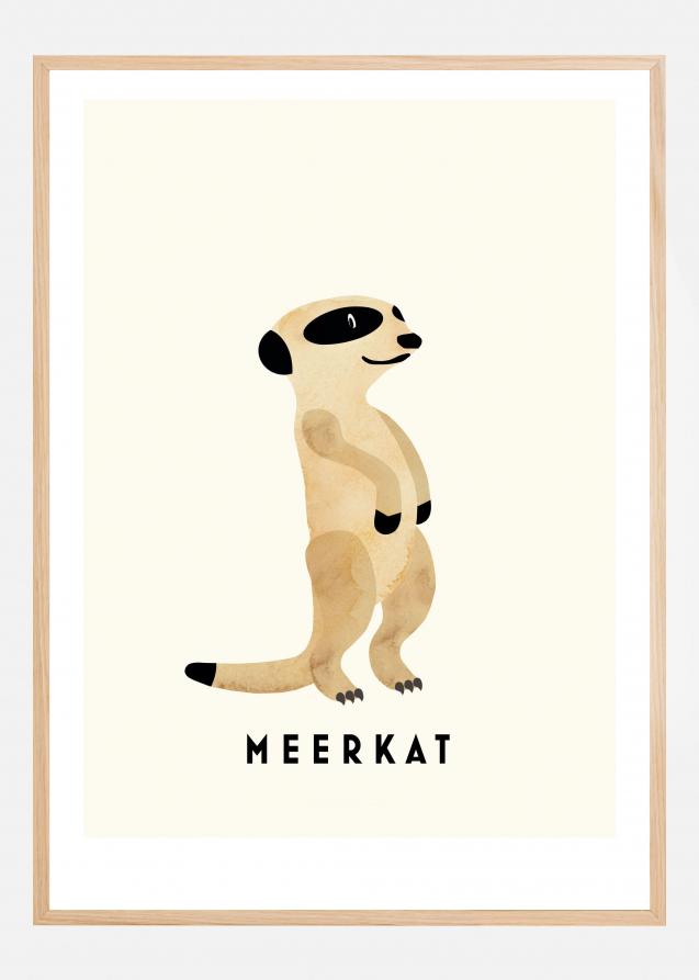Meerkat Plakat