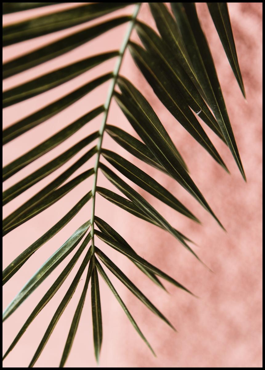 Pink pastell palm Plakat