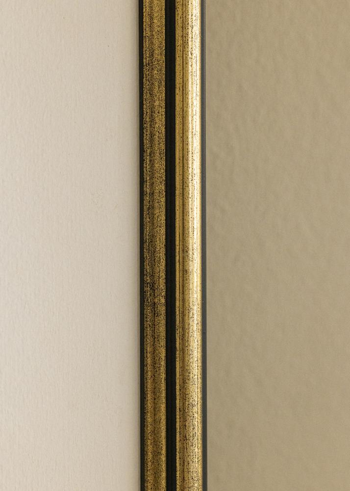 Ramme Horndal Akrylglas Guld 21x29,7 cm (A4)