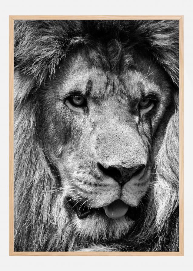 Lion King Plakat